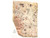 Piri Reis Map, 1st Map to show Americas and Antarctica, 24 X 36 High Gloss Poster 