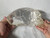 Indiana Jones, Alien Crystal Skull, Real Prop Replica, Acrylic Case, Signed, Numbered, Limited Edition