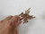 The Fifth Element, Mondoshawan Key Replica, Bruce Willis, Milla Jovovich