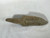 Real Rare Historical Mayan Chert Uniface Sacrificial Blade Belize Knife 0 to 500CE