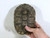 Pirates of the Caribbean, Dead Man's Chest, Real Prop Turtle Shell