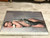 Framed Signed Avedon Poster Nastassja Kinski and the Serpent, PSA/DNA Authenticated