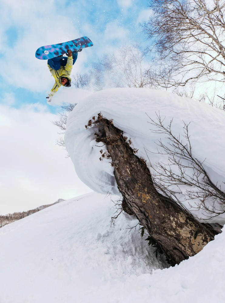 Burton Family Tree Sketch Artist Snowboard 2026 | Corbetts Ski +