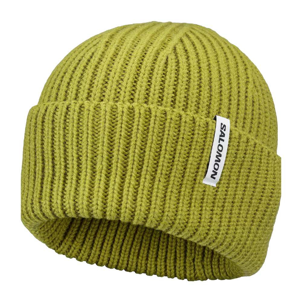 Salomon Snowbird Adult Beanie 2027 | Corbetts Ski + Snowboard