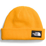 The North Face Salty Lined Adult Beanie 2025