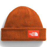 The North Face Salty Lined Adult Beanie 2025