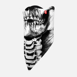 2023 Airhole Standard Adult Facemask