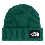 The North Face Salty Lined Adult Beanie 2026