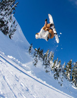 686 Outline Shell Womens Pant 2026