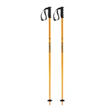 Faction Prodigy Ski Poles 2026