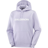 Salomon Big Logo Mens Hoodie 2026