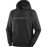 Salomon Big Logo Mens Hoodie 2026