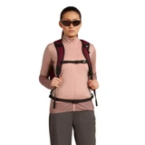 Icebreaker Merino Blend 300 RealFleece Descender Womens Long Sleeve Zip 2026