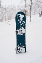 Burton Family Tree Full Nelson Snowboard w Burton Step On Cartel X