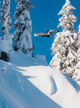 Burton Custom Jungle Snowboard 2027