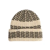 Coal The Mirage Adult Beanie 2027