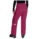 The North Face Summit Eastwall GTX Womens Pant 2027