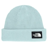 The North Face Salty Lined Adult Beanie 2027