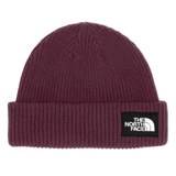 The North Face Salty Lined Adult Beanie 2027