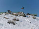 CAPiTA Aeronaut LTD Snowboard 2027