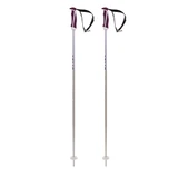 Volkl PHANTASTICK Womens Ski Poles 2026