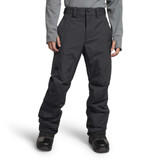 The North Face Freedom Insulated Mens Pant 2024