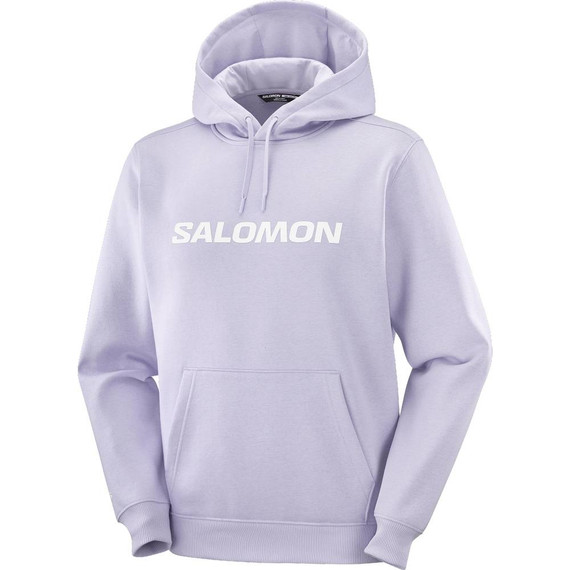 Salomon Big Logo Mens Hoodie 2026
