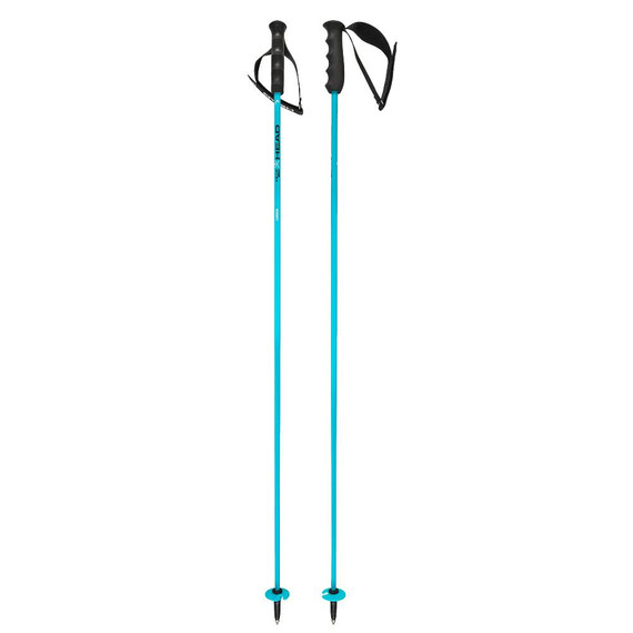 Head Worldcup Rebels Carbon Ski Poles 2027
