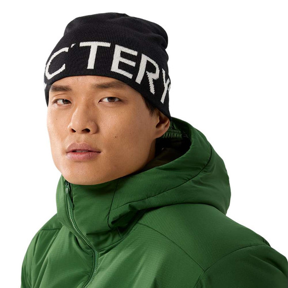 Arc'teryx Word Head Adult Toque 2027