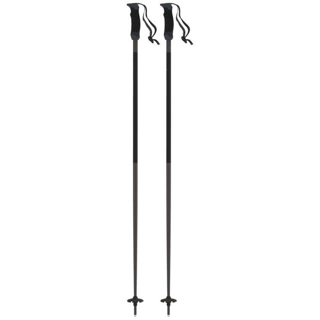 Atomic AMT SQS Ski Poles 2026