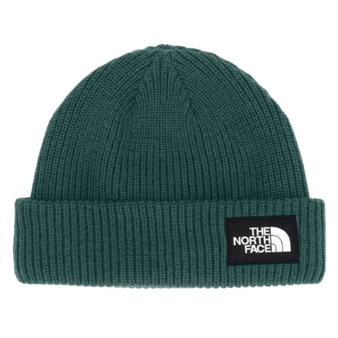 The North Face Salty Lined Adult Beanie 2027