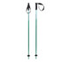 Volkl Phantastick JR Ski Poles 2025