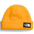The North Face Salty Lined Adult Beanie 2025 The North Face Salty Lined Adult Beanie 2025