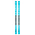 Head Worldcup Rebels e-Speed Pro Skis 2026