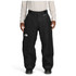 The North Face Gore-Tex Hex Mens Pant 2026