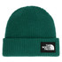 The North Face Salty Lined Adult Beanie 2026