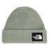 The North Face Salty Lined Adult Beanie 2026