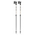 Leki Detect S Vario Grey/Black Ski Poles 2026