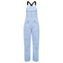 Flylow Sphynx Womens Bib Pant 2026