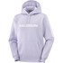 Salomon Big Logo Mens Hoodie 2026