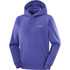 Salomon Chest Logo Mens Hoodie 2026