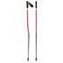 Atomic Redster GS Ski Poles 2027