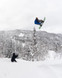 GNU Wagyu Snowboard 2027