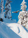 Burton Custom Jungle Snowboard 2027