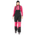 Picture Elwy Womens Bib Pant 2027