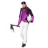 RH+ Chamonix Womens Pant 2027