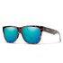 Smith Lowdown 2 Sunglasses
