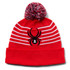 Spyder Icebox Boys Hat 2024