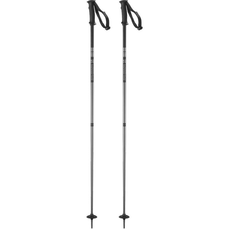 SALOMON 2024 Salomon Arctic Black Adult Ski Poles 