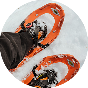 Snowshoes